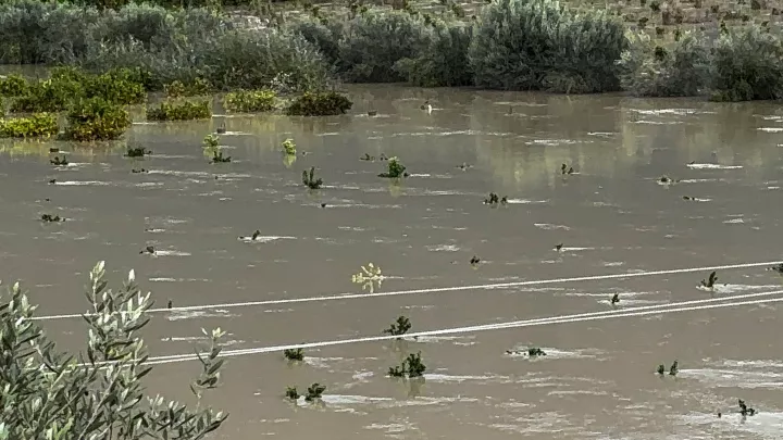 Κακοκαιρία: Υπερχείλισαν ποτάμια στην Ήπειρο