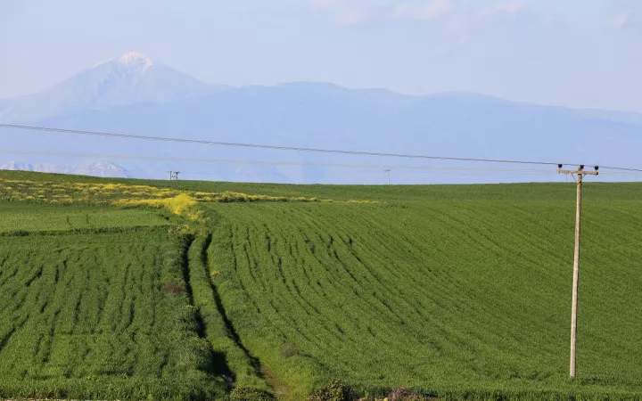 Παράταση έως 31 Δεκεμβρίου 2026 για χρηματοδότηση και αγροτικά ακίνητα