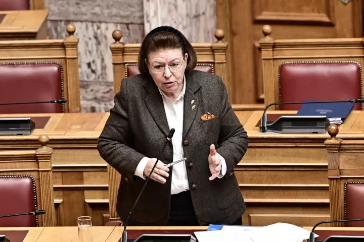 Λ. Μενδώνη για τις φωτογραφίες από την Καισαριανή: Είναι πλέον κτήμα του Ελληνικού Δημοσίου