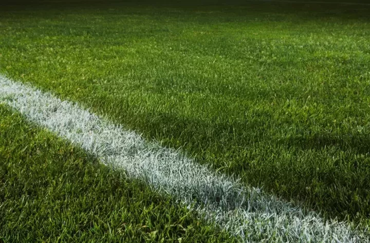 Επιλογές από Γαλλία και Ελβετία