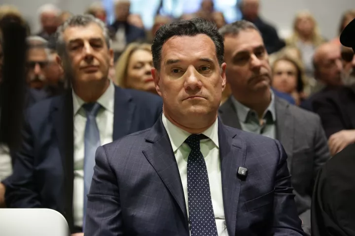 Εύσημα Άδ. Γεωργιάδη στο Ισραήλ: Οι πολιτικές διαφορές πάνε περίπατο για το συμφέρον της πατρίδας