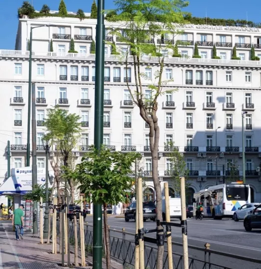 Κ. Μπακογιάννης: Η Αθήνα αξίζει να ανθίζει πέρα από πρόσωπα και θητείες