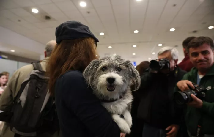 Επέστρεψαν 101 Έλληνες με 45 κατοικίδια από το Άμπου Ντάμπι