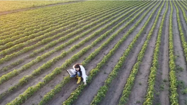 Αγροτουρισμός: Το βιώσιμο μοντέλο ανάπτυξης που κρατά ζωντανή την ύπαιθρο - Η Βόρεια Ελλάδα ως πρώιμος πυρήνας ανάπτυξης