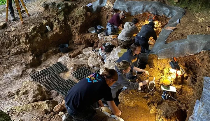 Νέα μελέτη: Η γενετική ομοιομορφία των ύστερων Νεάντερταλ ίσως συνέβαλε στην εξαφάνισή τους