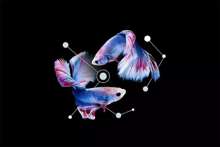 Ένας κατασκευαστής από την Κίνα στον ετήσιο κατάλογο της S&P Global για την αειφορία