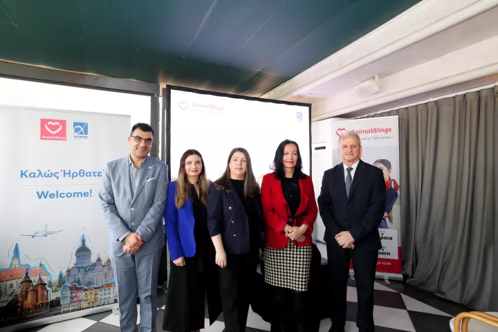 AnimaWings: Απευθείας πτήσεις από την Ρουμανία 