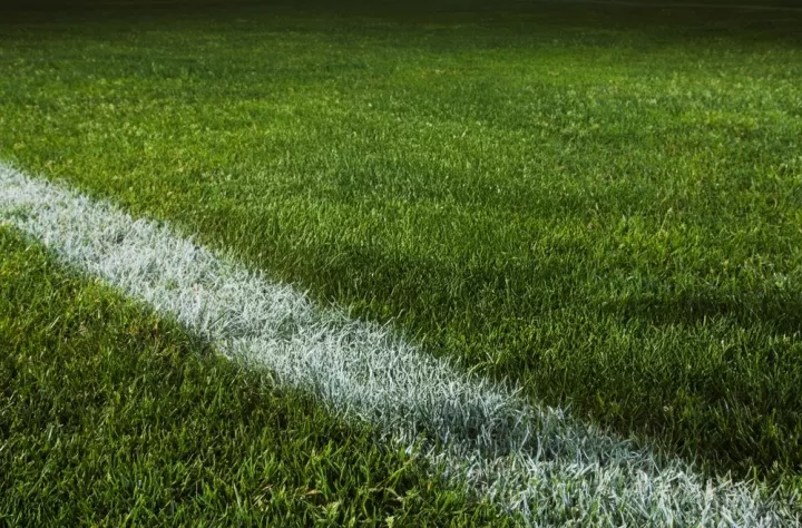 Χάποελ Τελ Αβίβ-Παναθηναϊκός: Score More-Win More* για κάθε πόντο του Ναν στο Pamestoixima.gr