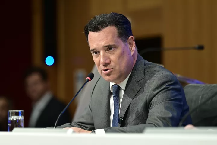 Άδ. Γεωργιάδης: Η Μ. Καρυστιανού έχει ένα στίγμα έντονα δεξιό, με λαϊκίστικα στοιχεία