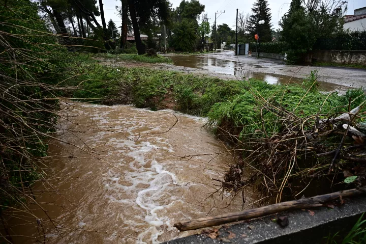 Πάνω από 30 πτώσεις δέντρων στον δήμο Βάρης - Βούλας - Βουλιαγμένης