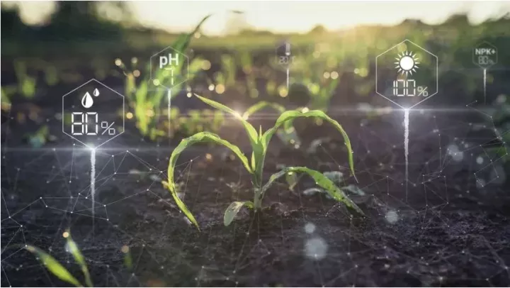 Πώς η Τεχνητή Νοημοσύνη μετασχηματίζει τη γεωργία και την κτηνοτροφία – Η startup Neurohive και η νέα εποχή του αγροδιατροφικού τομέα