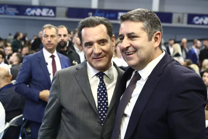 Αδ. Γεωργιάδης: Ο Μυλωνάκης είναι γερός οργανισμός, θα τα καταφέρει