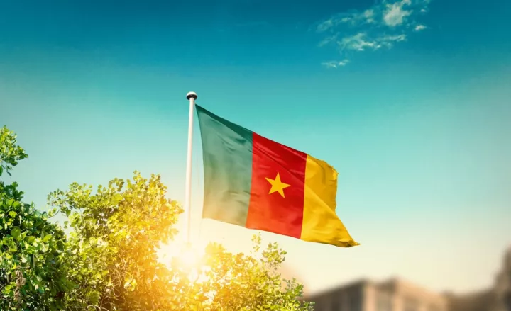 Καμερούν: Ο Πάπας προειδοποιεί για τον ρόλο της ΤΝ στην κλιμάκωση συγκρούσεων και φόβου