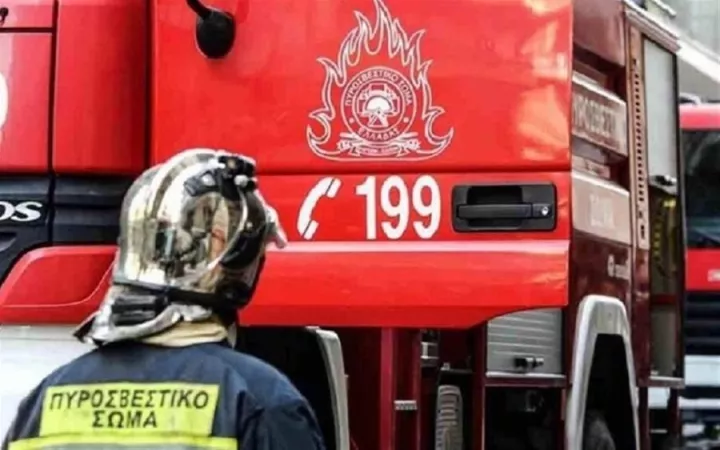 Φωτιά σε δασική έκταση ανάμεσα στο Προκόπι και το Πήλι Εύβοιας