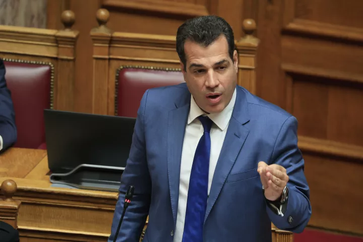 Θ. Πλεύρης προς «Νίκη» και Ελληνική Λύση: Να τοποθετηθείτε καθαρά εάν είστε υπέρ ή όχι της δημιουργίας Κόμβων Επιστροφής εκτός ΕΕ