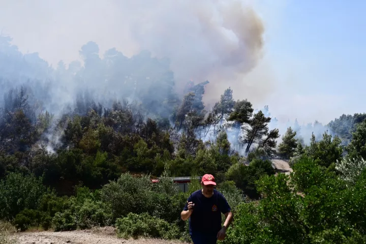 Πυρκαγιά στον Ωρωπό Πρεβέζης - Ισχυροί άνεμοι δυσκολεύουν το έργο της κατάσβεσης