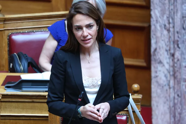 Δ. Μιχαηλίδου για το «Ανακαινίζω» κλειστά ακίνητα: Προκαταβολή έως 60%, επιπλέον η κάλυψη για μελέτες και άδειες