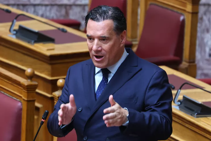 Αδ. Γεωργιάδης: Ο Τσίπρας θα τους καθαρίσει όλους στον ΣΥΡΙΖΑ, ο Ανδρουλάκης έχει τελειώσει