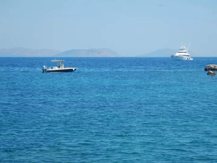Πιλοτική εξαλίευση λαγοκέφαλων με οικονομικό κίνητρο εξετάζει το ΥΠΑΑΤ