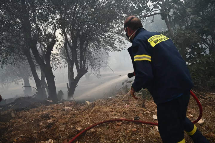 Φωτιά σε δάσος στον Αλμυροπόταμο Ευβοίας, επιχειρούν 9 εναέρια μέσα - Μήνυμα του 112 για ετοιμότητα (vid)