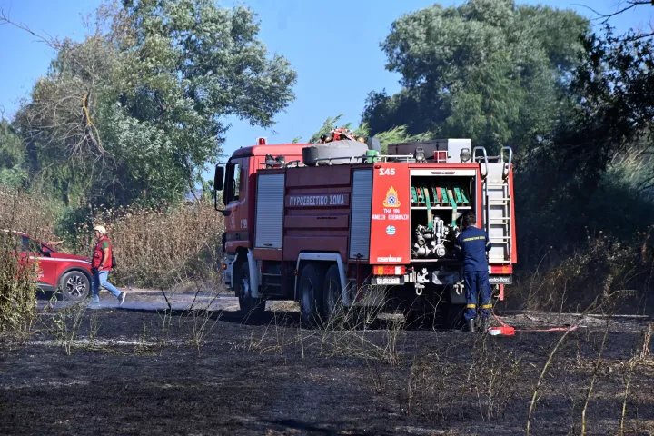 Φωτιά σε δασική έκταση στο Ακραίφνιο Βοιωτίας - Ήχησε το 112 