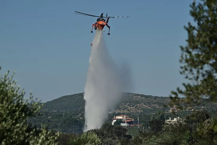 Φωτιά στον Ορχομενό: Σηκώθηκαν δύο αεροσκάφη και δύο ελικόπτερα