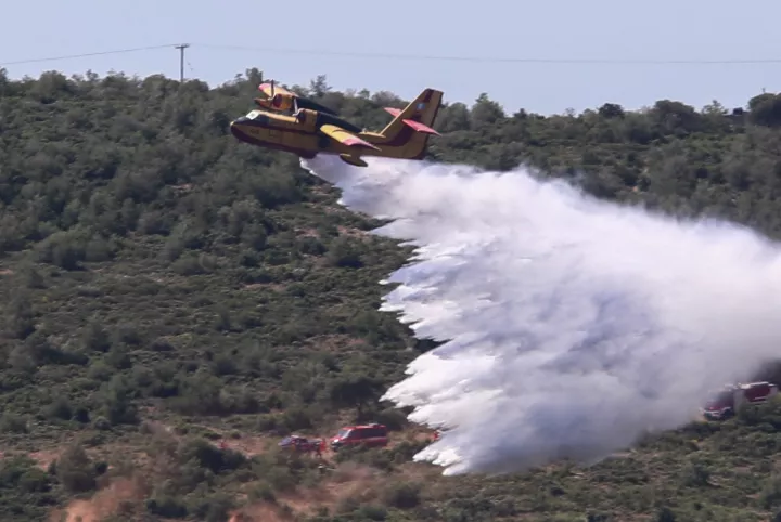 Φωτιά τώρα στη Βοιωτία και μήνυμα από το 112, σηκώθηκαν εναέρια μέσα