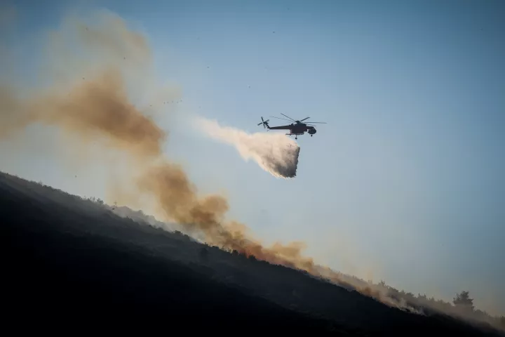 Φωτιά σε χαμηλή βλάστηση στη Νέα Βύσσα Έβρου