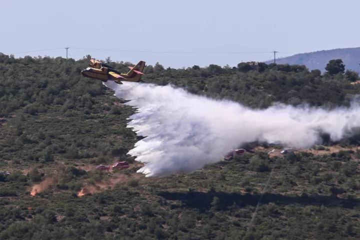 Χωρίς ενεργό μέτωπο η πυρκαγιά σε αγροτοδασική έκταση στη Λούτσα Ευβοίας