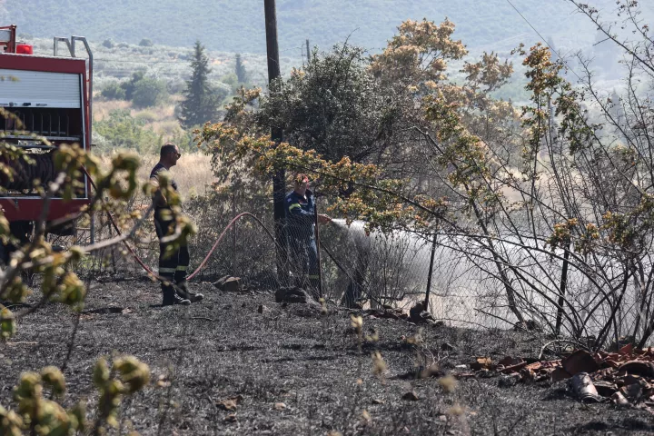 Καλύτερη η εικόνα της φωτιάς στη Μαριολάτα Φωκίδας