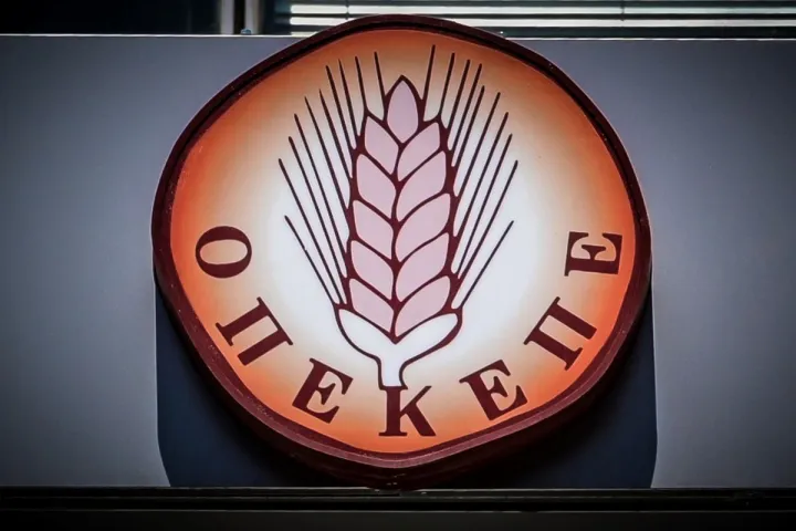 Δίκη ΟΠΕΚΕΠΕ: Ποινή φυλάκισης 5 ετών και 8 μηνών σε Δ. Μελά και Αθ. Ρέππα επέβαλε το Δικαστήριο