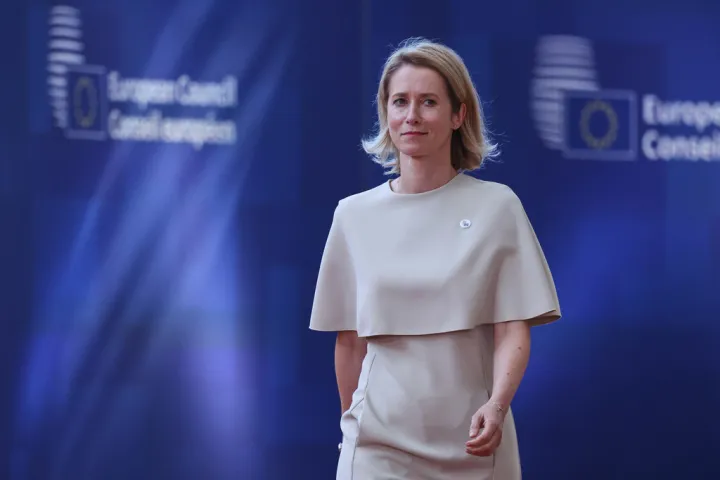 Εξηγήσεις από την Κάγια Κάλας ζητούν οι ευρωβουλευτές της ΝΔ μετά το ταξίδι στην Άγκυρα