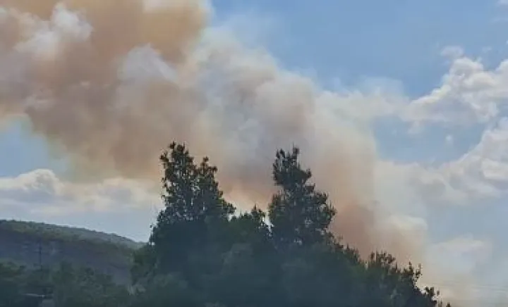 Μεγάλη φωτιά στη Μάνδρα Αττικής - Εστάλη μήνυμα από το 112, σηκώθηκαν εναέρια μέσα