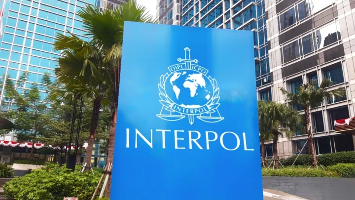 Interpol: 5.800 συλλήψεις και κατάσχεση 300 εκατ. δολαρίων σε παγκόσμια επιχείρηση κατά της απάτης
