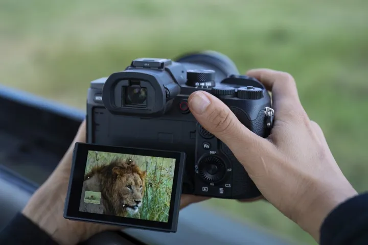 Η νέα RX 10 V της Sony – Μία «όλα σε ένα» σούπερ ζουμ φωτογραφική μηχανή για καθημερινή χρήση, φωτογραφία άγριας φύσης και αθλητικών γεγονότων