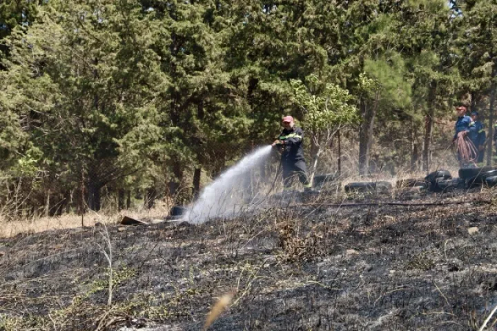 Φωτιά στην Κνωσό, δίπλα στον αρχαιολογικό χώρο - Άμεση κινητοποίηση της Πυροσβεστικής