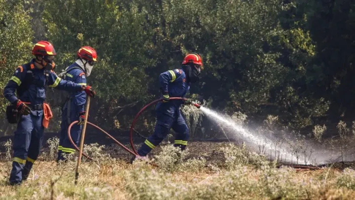 Θεσσαλονίκη: Υπό έλεγχο η φωτιά στο φράγμα της Θέρμης - Άμεση κινητοποίηση της Πυροσβεστικής