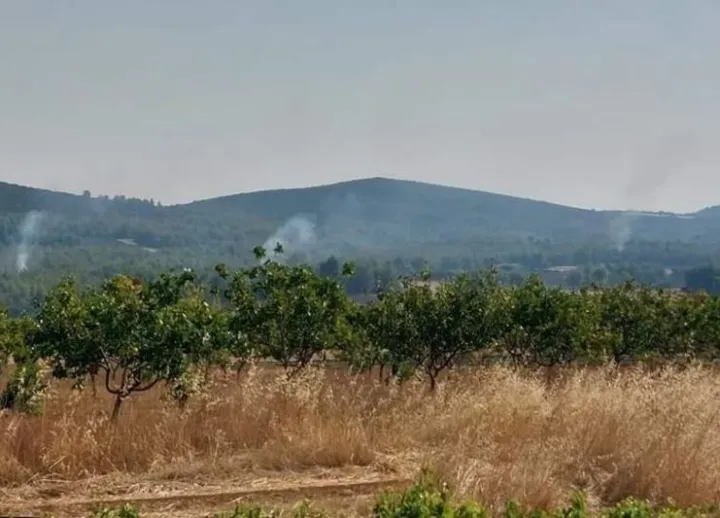 Ρεκόρ συλλήψεων για εμπρησμούς από αμέλεια - 13 σε δύο ημέρες