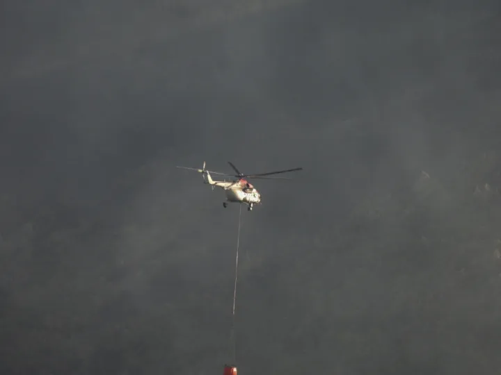 Κέρκυρα: Πυρκαγιά σε χαμηλή βλάστηση - Επιχειρούν εναέρια μέσα