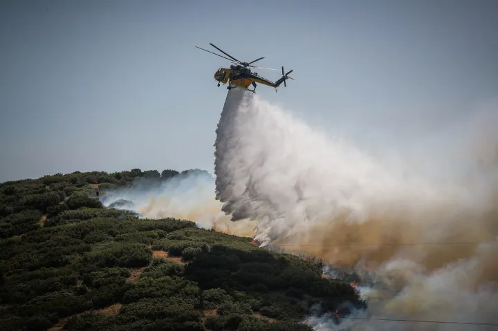 Φωτιά σε δασική έκταση στην Κοζάνη – Στη μάχη της κατάσβεσης και ελικόπτερο
