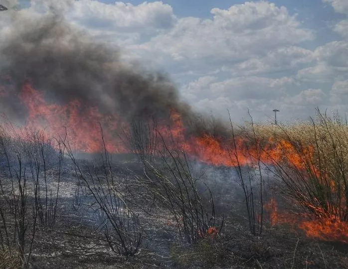 Υπό πλήρη έλεγχο η πυρκαγιά στο χωριό Λουδίας Υπό πλήρη έλεγχο η πυρκαγιά στο χωριό Λουδίας