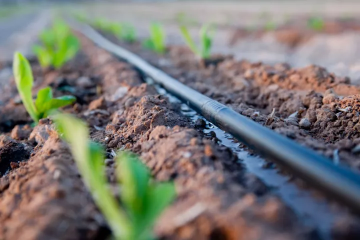 Rivulis-Eurodrip: Νέα εποχή εξωστρέφειας και επενδύσεων