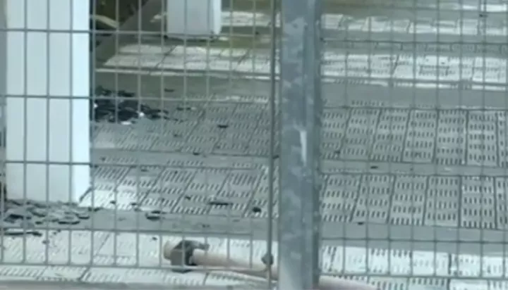 Επίθεση του Ρουβίκωνα στη Novartis με βαριοπούλες και μπογιές 