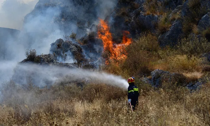 Φωτιά σε δασική έκταση στην περιοχή Ροδιά της Ηλείας 
